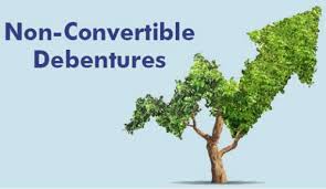 Non Convertible Debenture