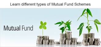 Mutual Fund